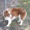 Athos
